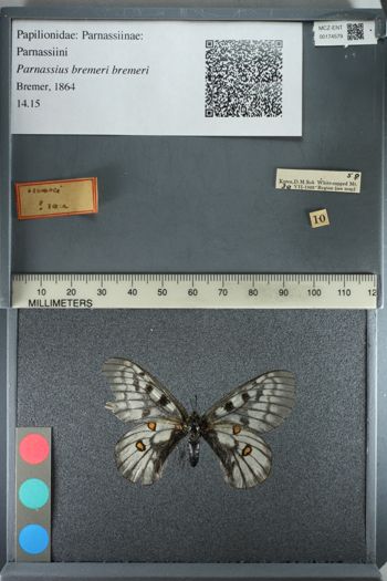 Media type: image;   Entomology 174579